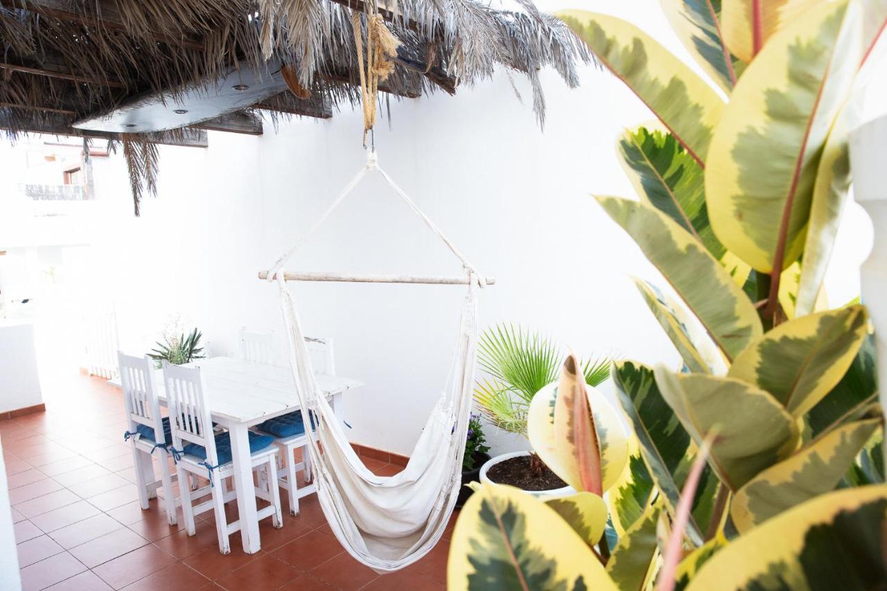 コラレホ Surf Dream Surfhouseホステル エクステリア 写真